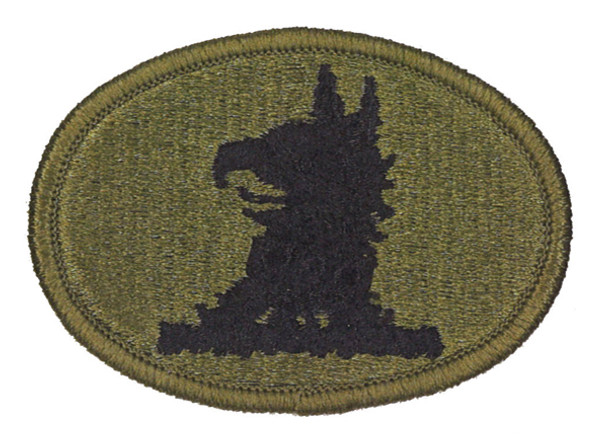 Patch-Delaware National Guard-OCP with hook fastener