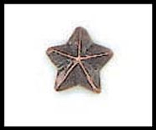 Ribbon Device-Bronze Star