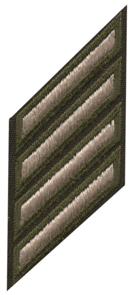 Service Stripes Male - AGSU (Pinks & Greens) Four (12 Years)