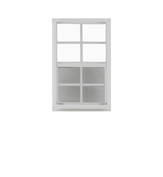 Shed Windows