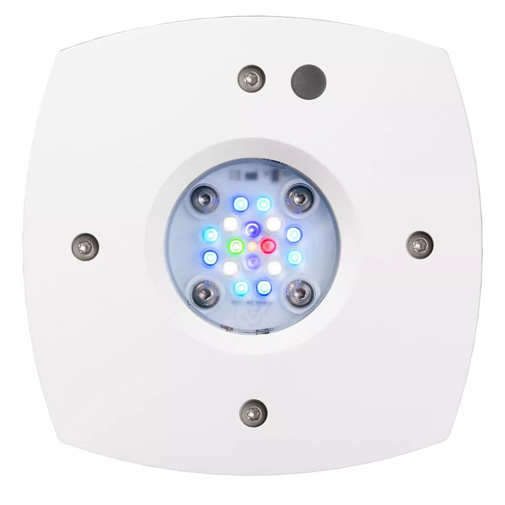 Prime 16 HD LED Reef Light - AquaIllumination