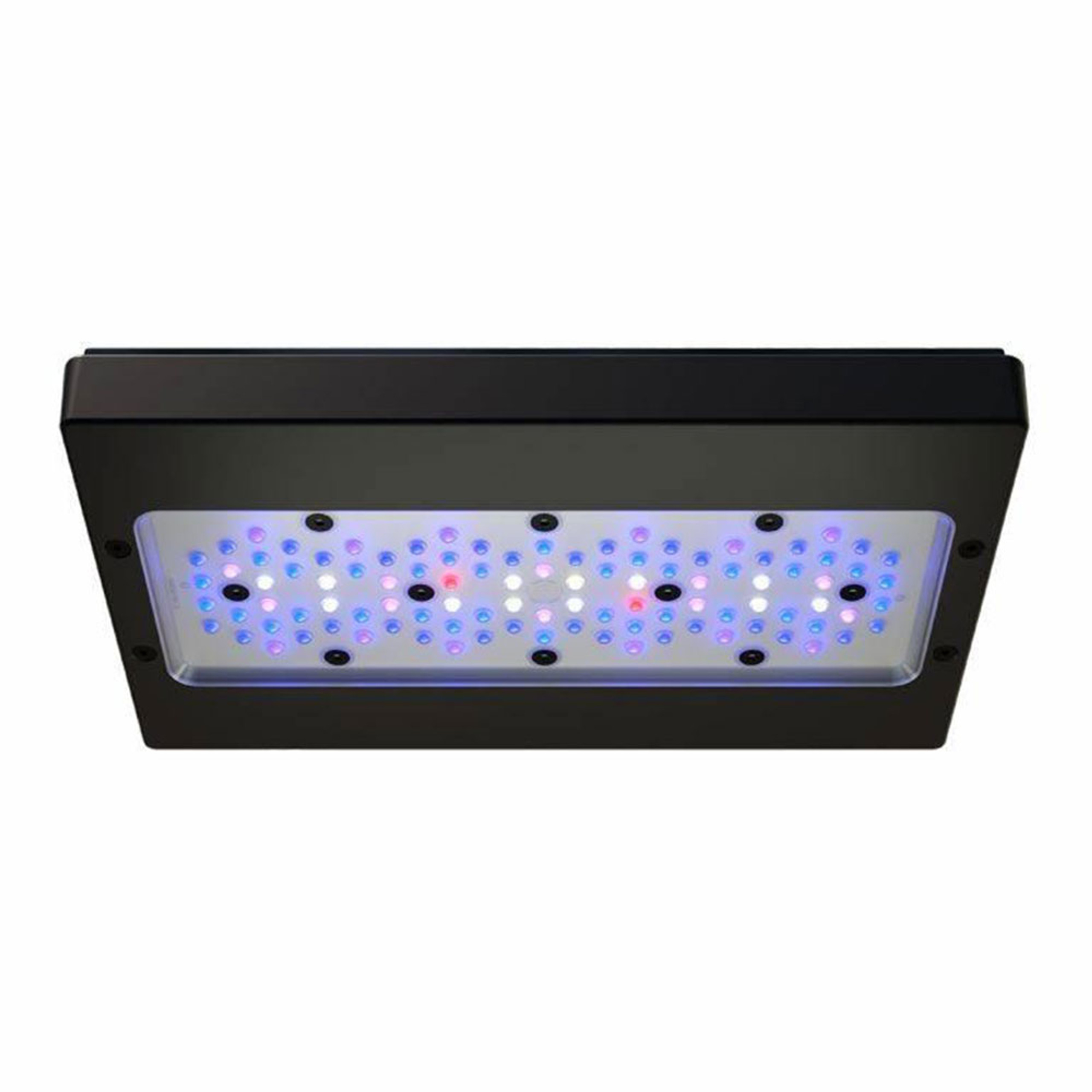 radion-xr30-g6-blue-led-light-