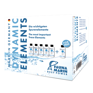 Dynamic Elements Set - Fauna Marin