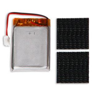 SMS-Module-Battery