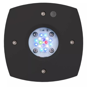 Prime 16 LED Freshwater Light - AquaIllumination