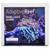 Audible & Visual Apex Alarm - Adaptive Reef image 1