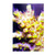 16" x 24" Coral Oil Painting Canvas (feat. Yellow Acropora Tenuis) - Maxspect Image