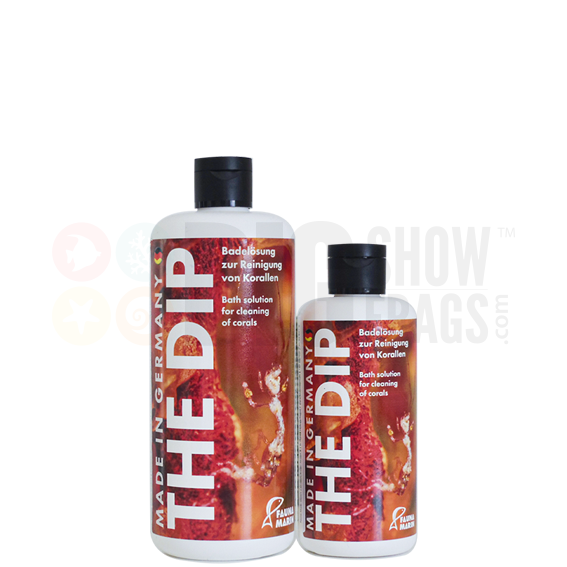 The Dip Main - Fauna Marin
