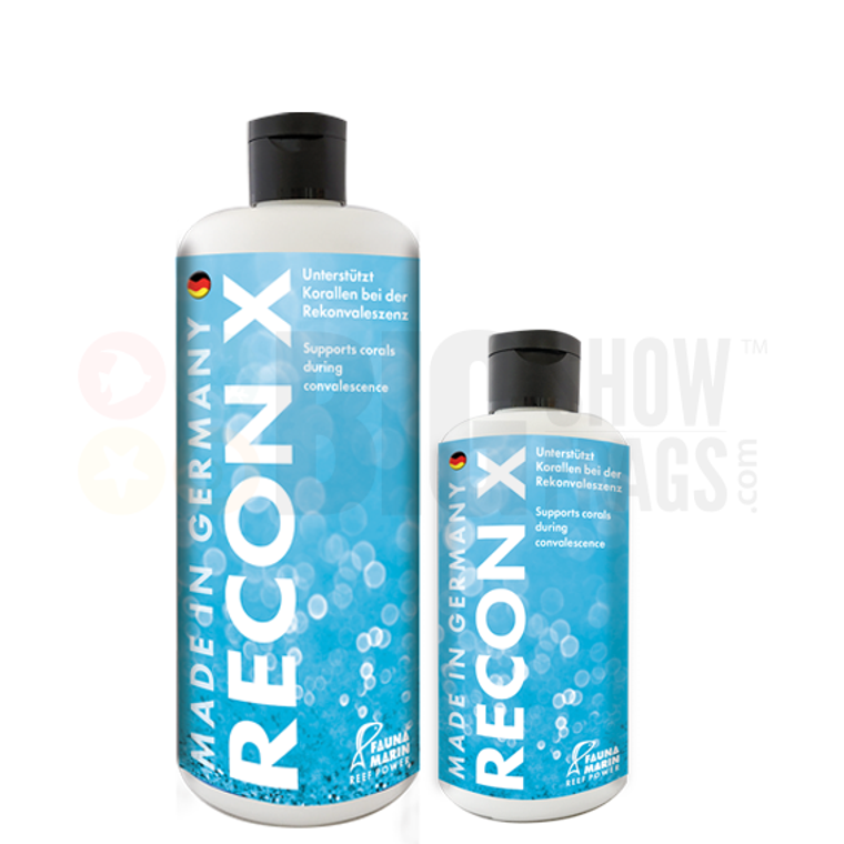 Recon X - Group - Fauna Marin