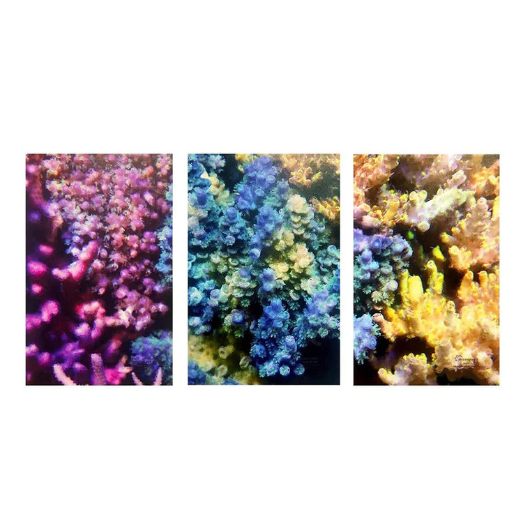 16" x 24" 3 - Piece Coral Oil Painting Canvas Set - Maxspect Image
