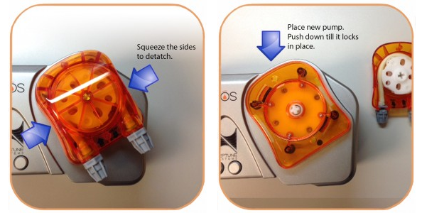 Replacement Head Instructions