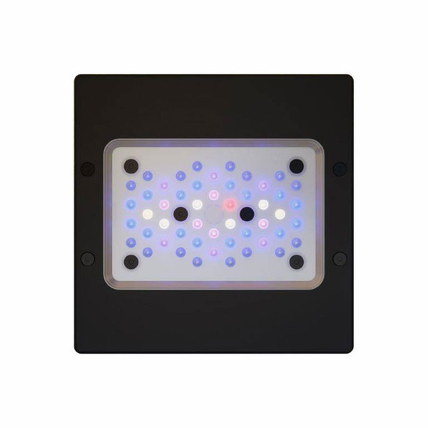 Radion XR15 Blue LEDライト サンゴ 海水 Amazon.com : 3DReefing Radion XR15 LED Reef Light Shade