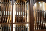 Shotguns