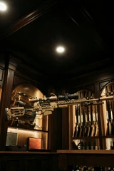 Rifles