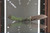 AMPHIBIAN RAM-LOK MARFIONE SELECT - Frag