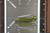 210-10FROD