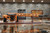 Custom Shop Model CDX-30 X-LITE precision rifle