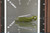210-10FROD
