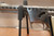 MBAssociates Mark I Model B Gyrojet Rocket Pistol with Case
