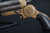 Eben T. Starr Four-Barrel Pepperbox