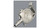 Chicago Firearms Co. Protector Palm Pistol  - 140