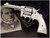 Colt Model 1889 Double Action Revolver  - 235