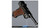 Luger - 88