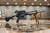 H&K MR27 Deployment kit