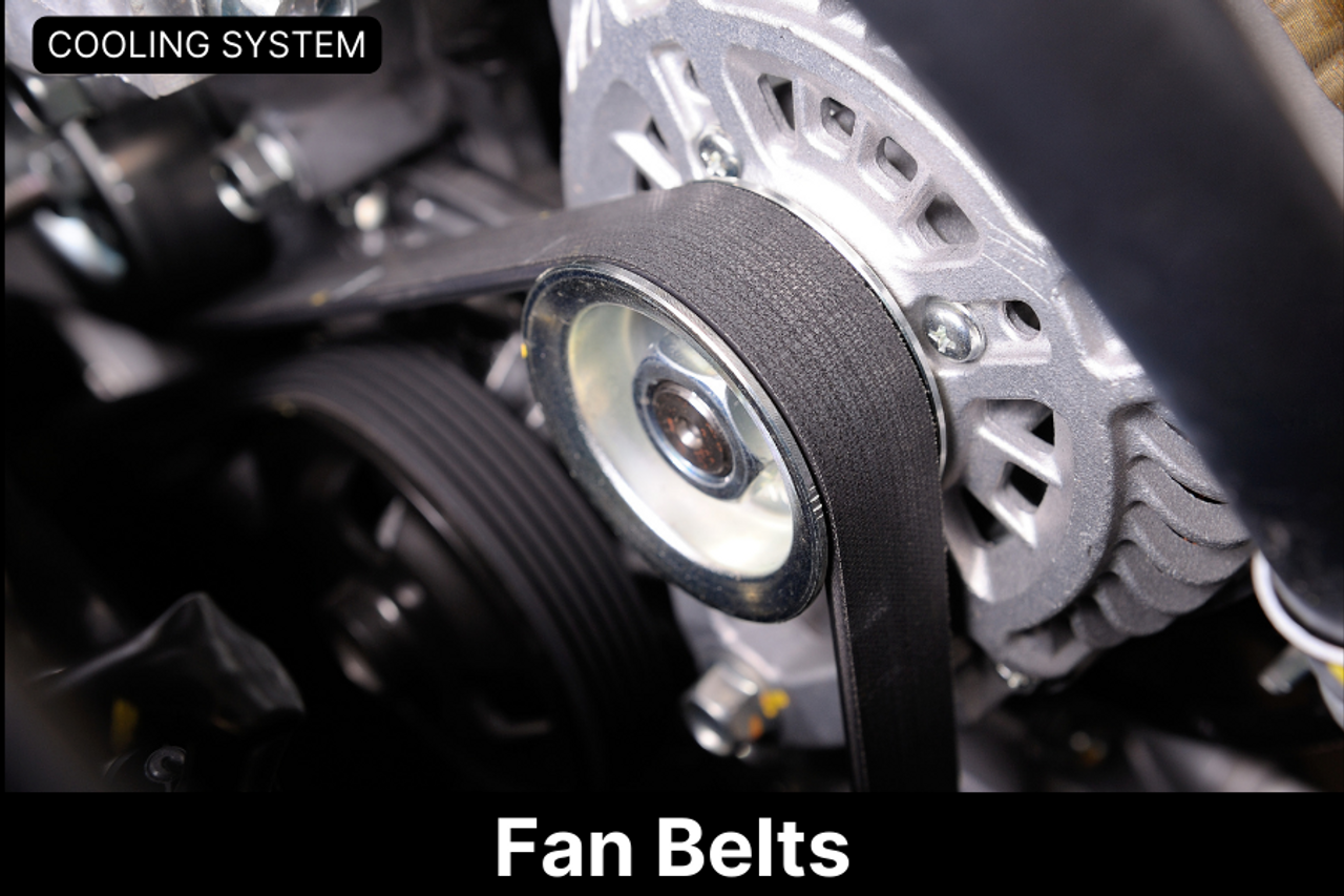 Fan Belts