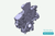 1682304024 CASE