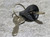 KUBOTA K301162180 KEY