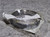 KUBOTA 16241-23280 SLEEVE