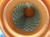 KUBOTA K285182320 FILTER