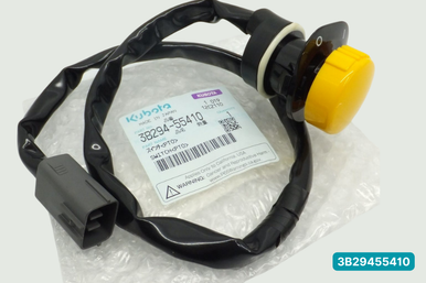 3B29455410 SWITCH