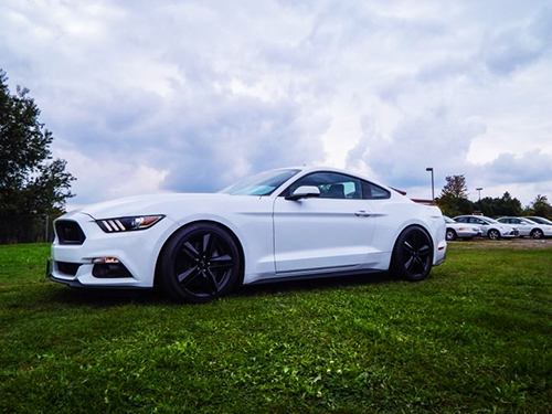 Mustang Ecoboost Tuning