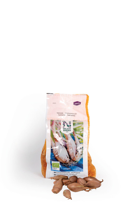 Istukassipuli salottisipuli 'Longor' 200g, luomu