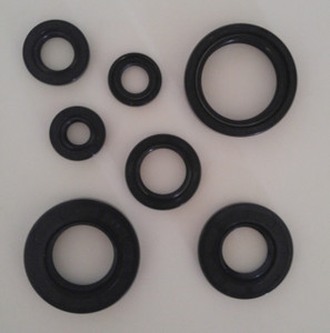 Yamaha YFS200 Blaster Engine Oil Seals Yamaha YFS200 Blaster Engine Oil Seals