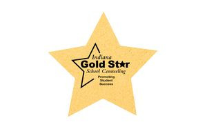 4" Econo Compressed Star Sponge