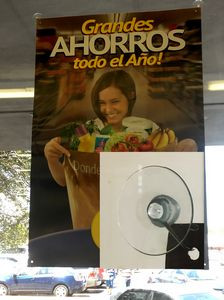 Poster 24" x 36" w/Suction cups