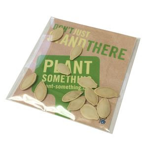 Mini Seed Packet w/Insert Card