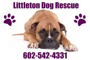 Yard Sign - 24" x 18" Full Color 2 Sided
