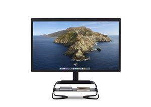 Twelve South Curve Riser Stand