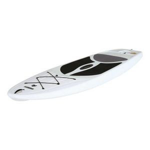 Lifetime 10' Stand Up Paddleboard