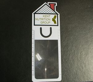 House Bookmark Magnifier