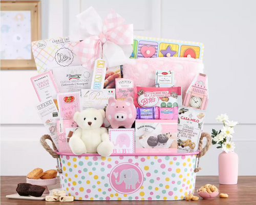 Essential Baby Girl Gift Basket