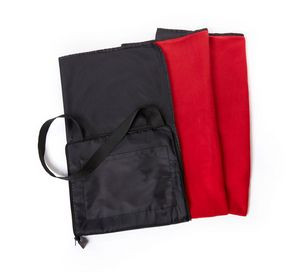 Stadium Blanket/Cushion