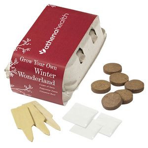 Winter Wonderland Grow Your Own Kit