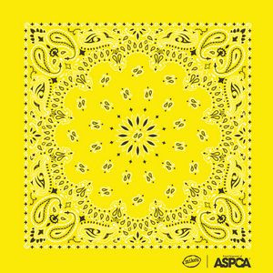 USA Made Traditional Paisley Bandannas 22"x22" 100% Cotton in 35 Pre-Printed Stock Colors