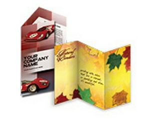 Sell Sheet Flyer/ Brochures (8.5"x11")