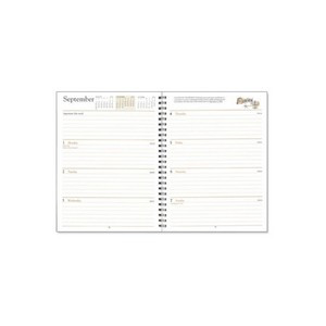 Refill-- Weekly Desk Diary (Dw)